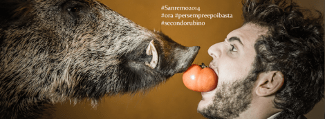 1506719_664211510265899_331389291_n